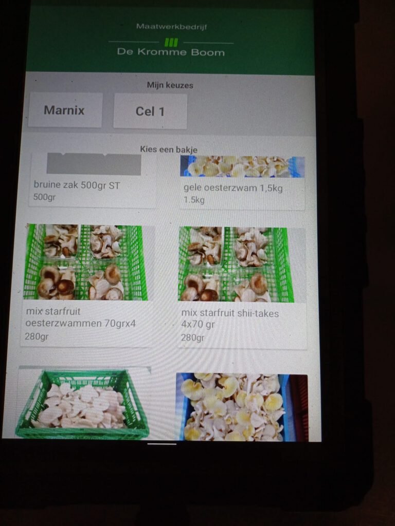 Naamloos-1